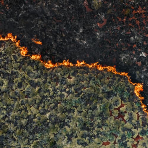 Senators demand crackdown on wildfire "prediction market" bets
