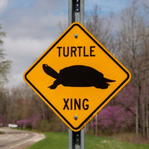 FCC abolishes gigabit speed goal, suggesting it is unfair to slower technologies
