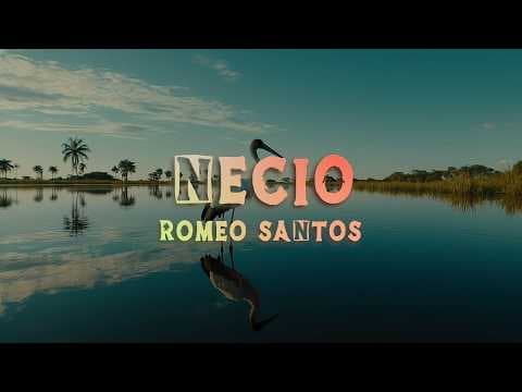 Romeo Santos - Necio ft. Santana (Lyrics/Letra)