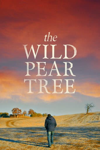 #8 The Wild Pear Tree (2018) — Top 10 Turkish Films of All Time