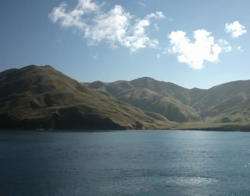 #9 Marlborough, New Zealand — Top 10 Wine Regions in the World: Ranked by Terroir, History & Prestige