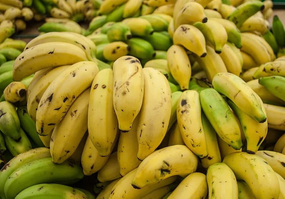 #9 Bananas (Slightly Green) — Top 10 Best Gut Health Foods