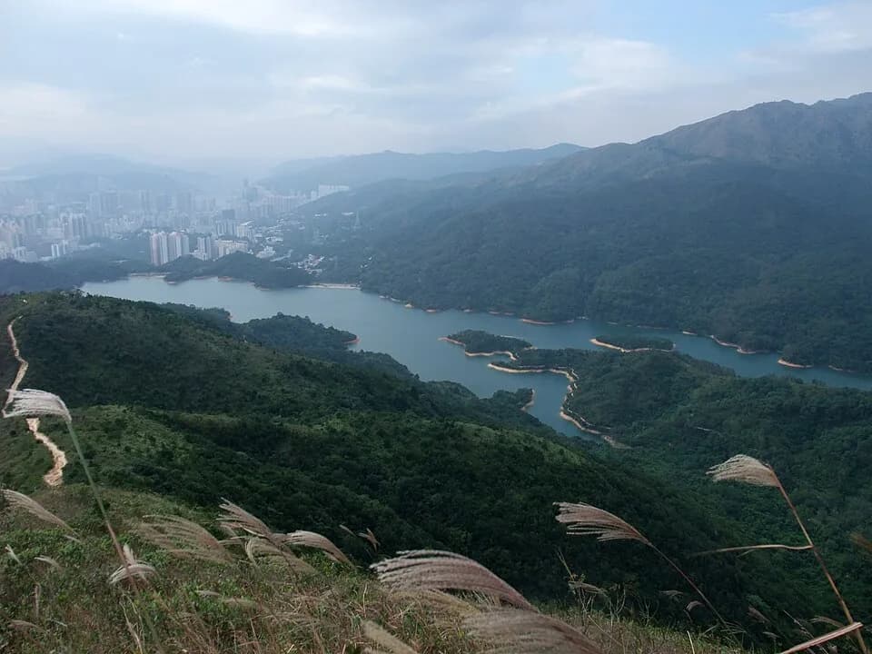 #5 Shing Mun Country Park — Top 15 Best Parks & Outdoor Play Areas in Hong Kong 2026