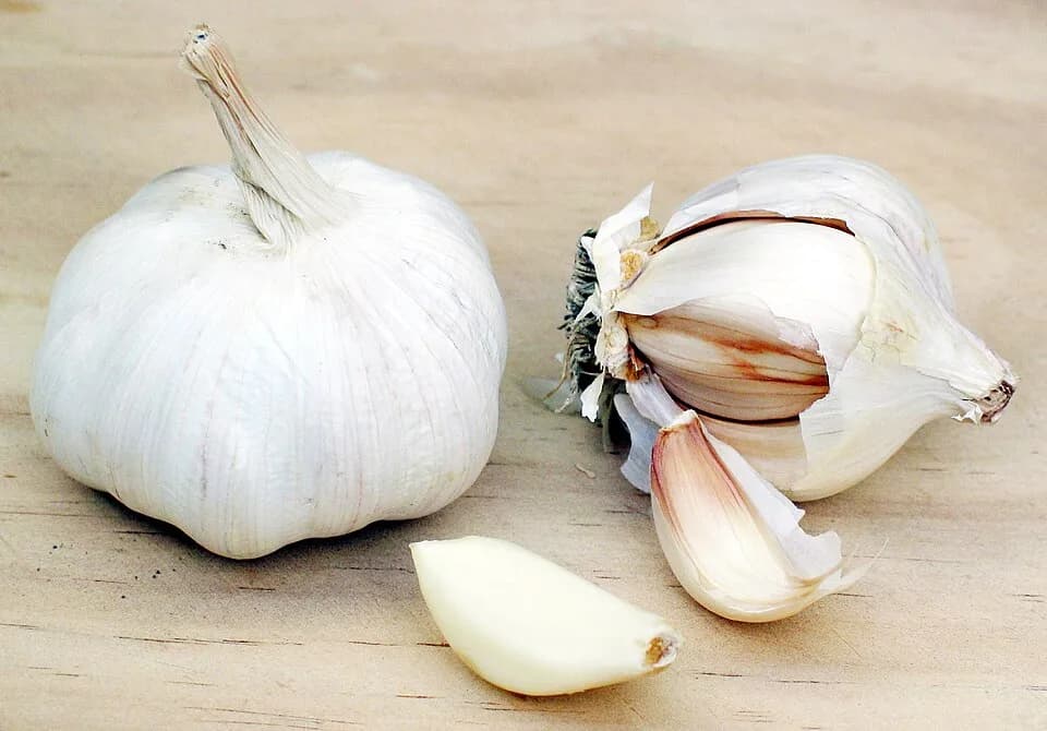 #6 Garlic — Top 10 Best Gut Health Foods