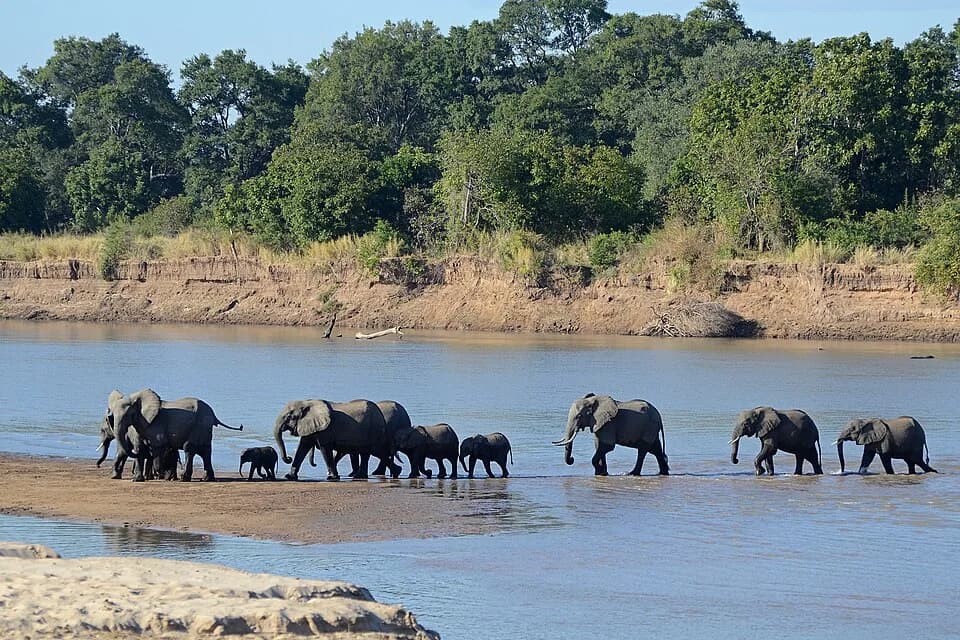 #8 South Luangwa National Park — Top 10 Best Safari Destinations in Africa