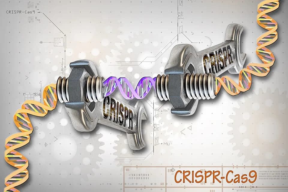 CRISPR Gene Editing