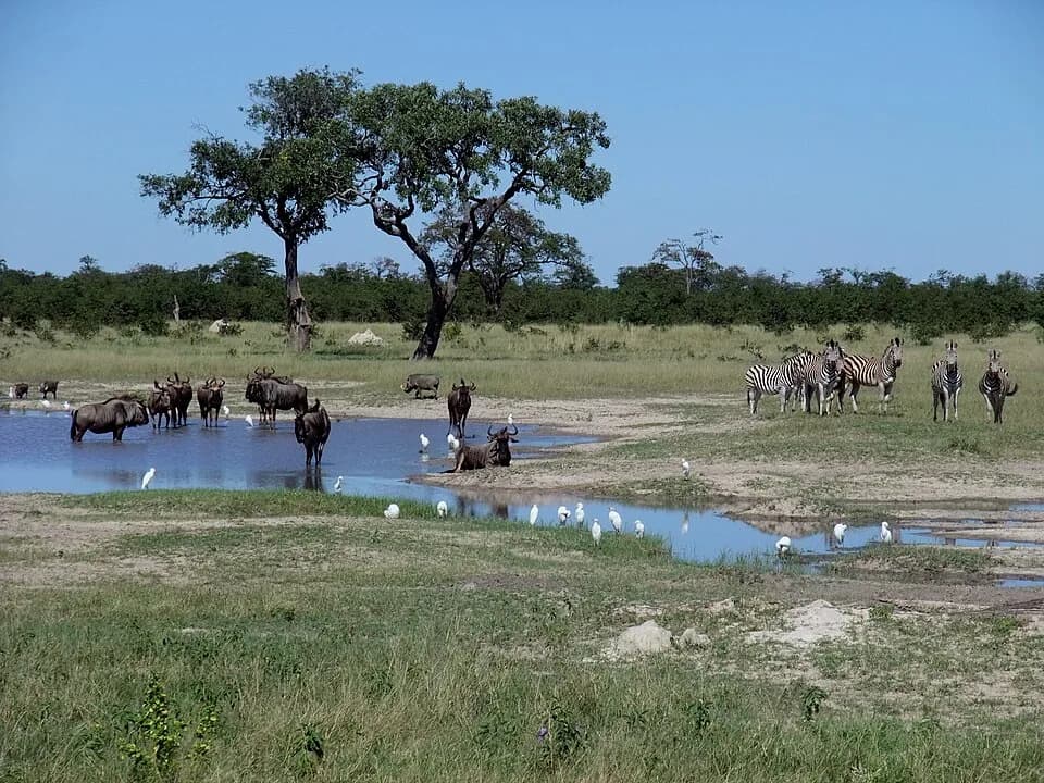 #6 Chobe National Park — Top 10 Best Safari Destinations in Africa