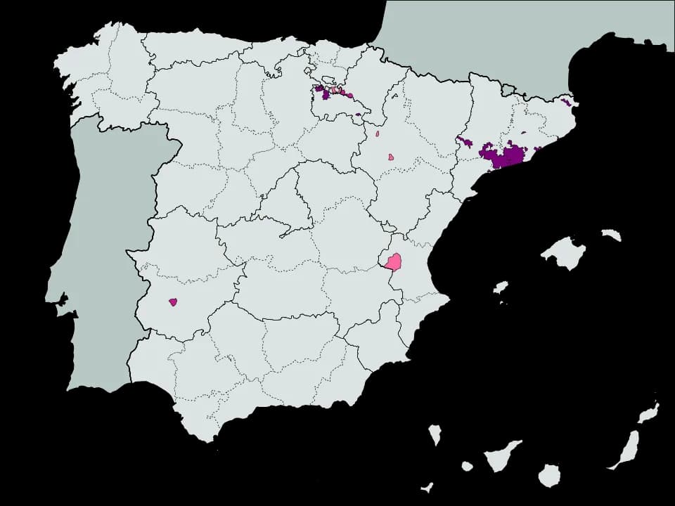 Cava