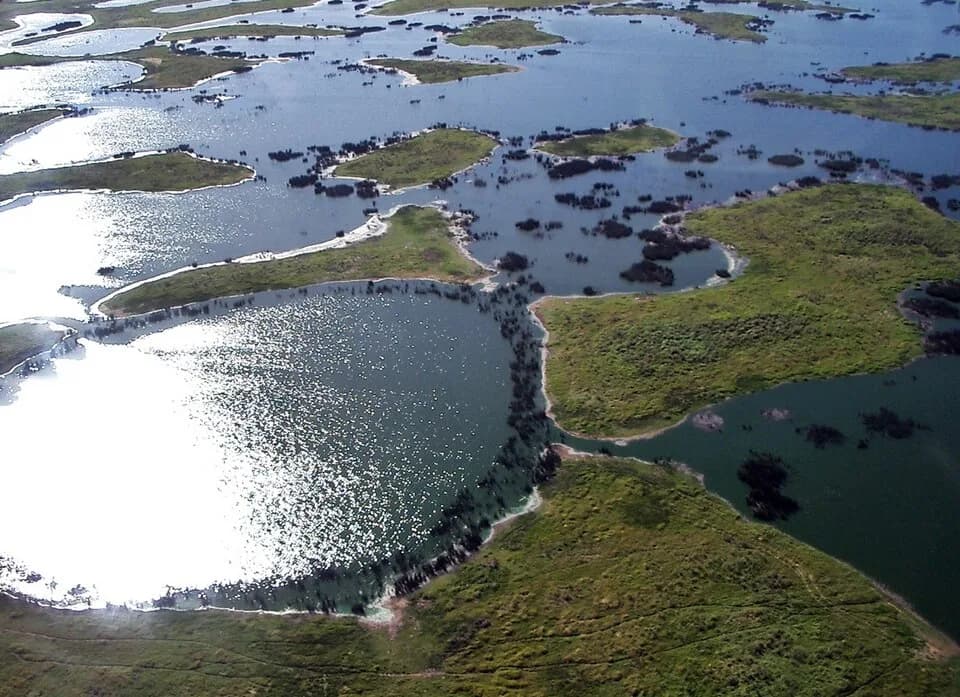 #4 Pantanal, Brazil — Top 10 Best Birdwatching Destinations