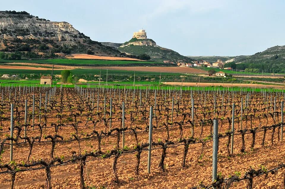 Ribera del Duero
