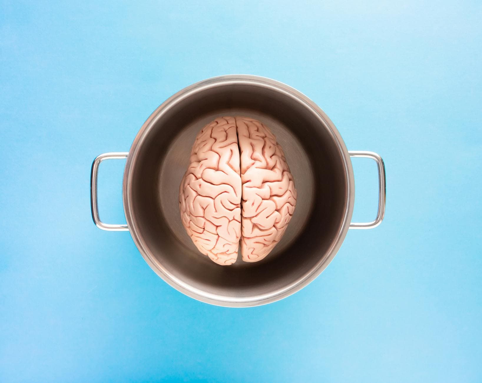 Top 10 Best Neuroscience Breakthroughs — SCIENCE Top 10 List