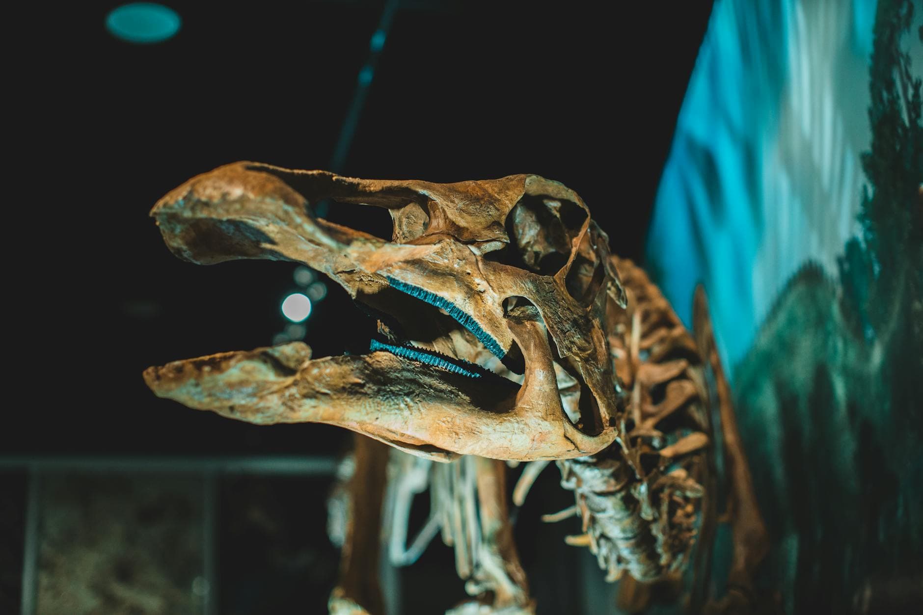 Top 10 Best Dinosaur Discoveries — SCIENCE Top 10 List