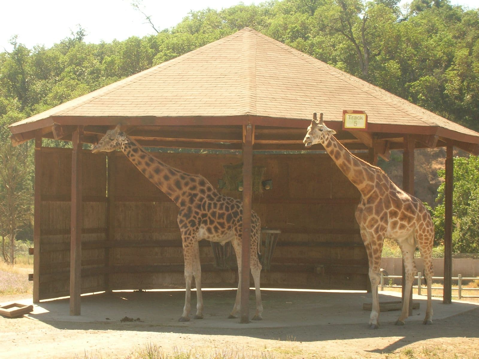 Top 10 Best Wildlife Safari Destinations — NATURE Top 10 List