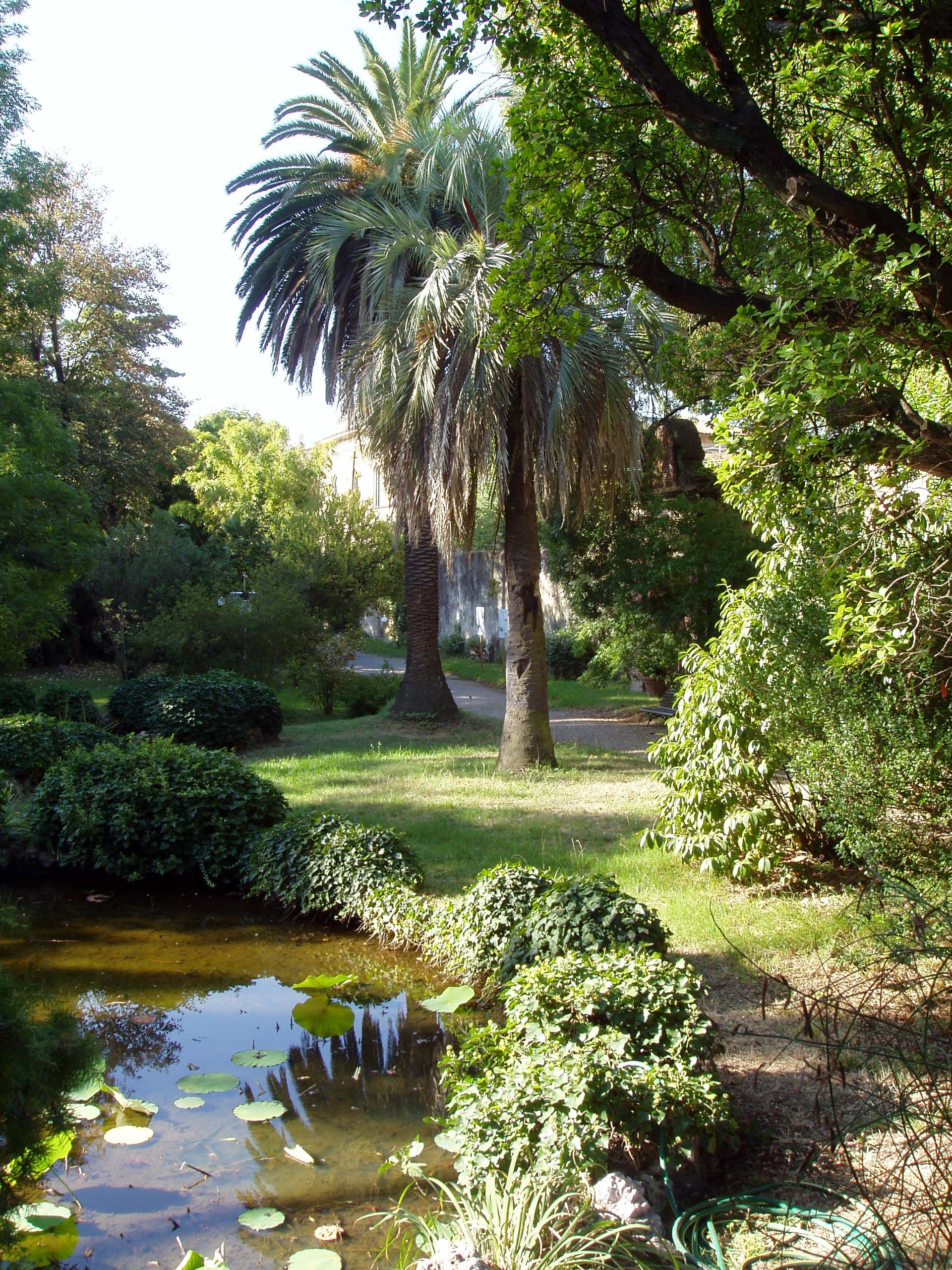 Top 10 Best Botanical Gardens in the World — NATURE Top 10 List