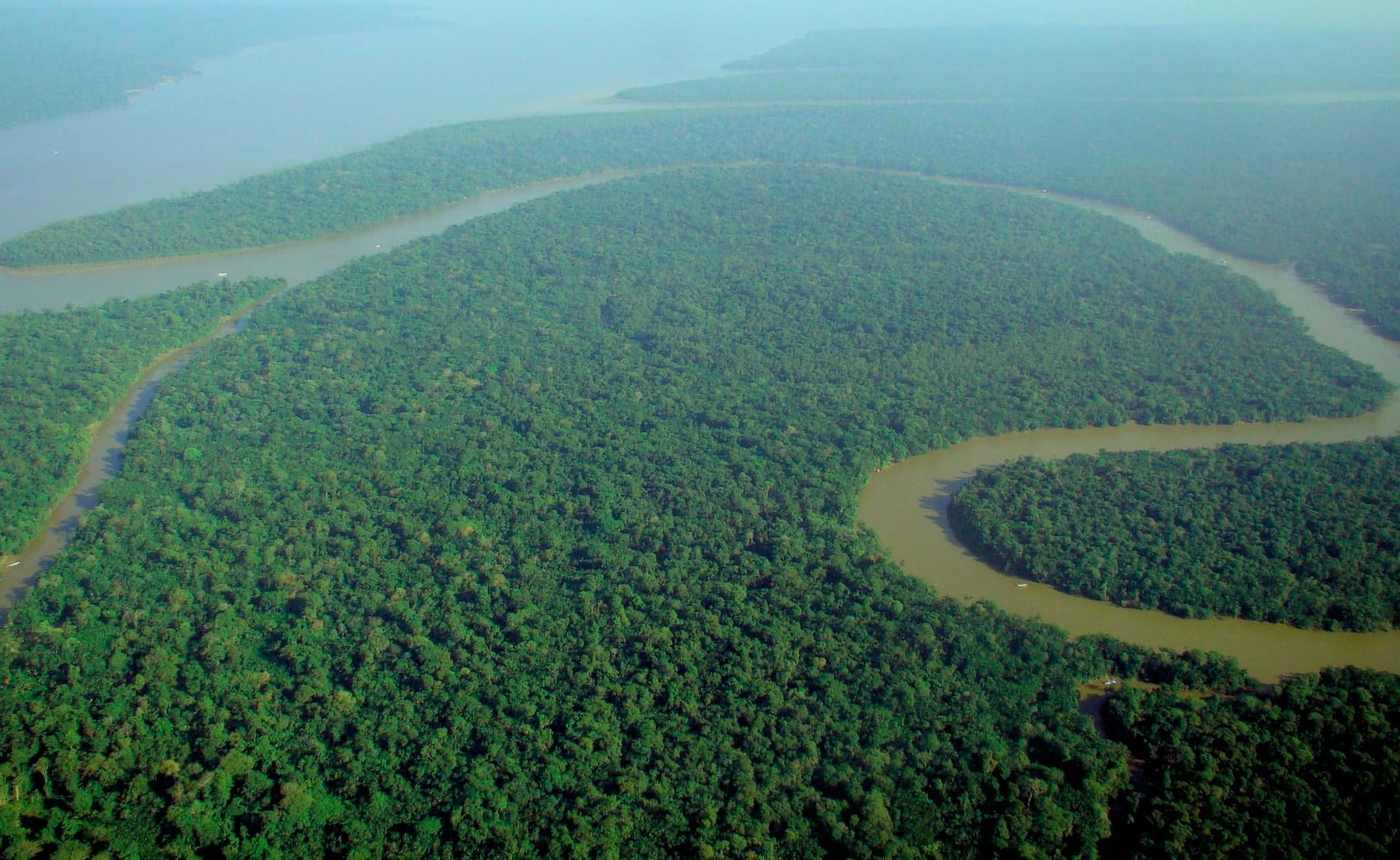 Top 10 Most Beautiful Forests — NATURE Top 10 List