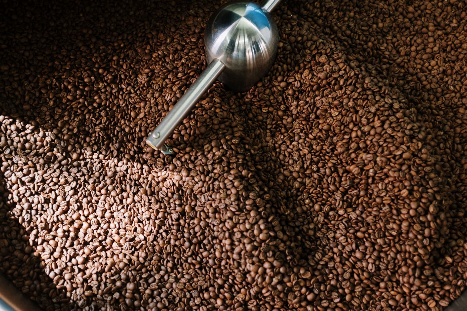 Top 10 Coffee Roasters in the USA 2026 — FOOD Top 10 List