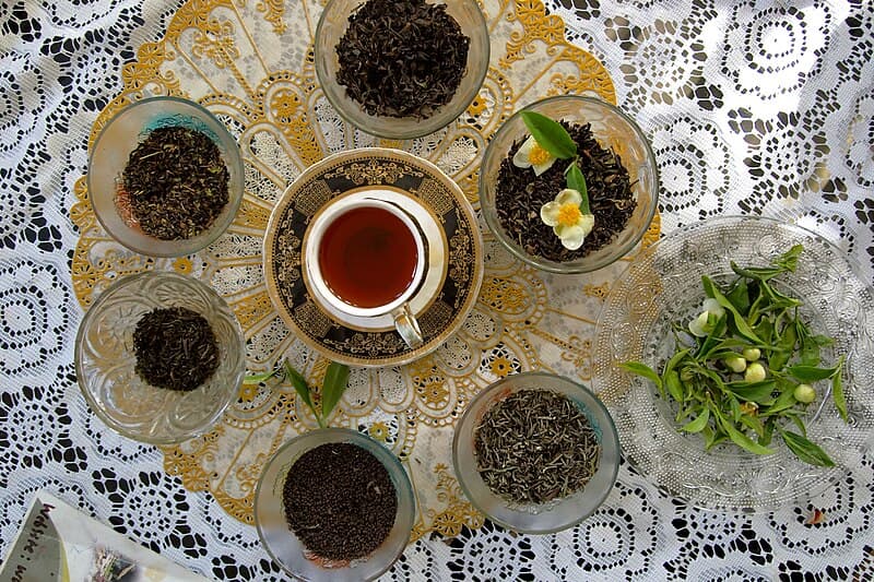 Top 10 Tea Plantations in India 2026 — FOOD Top 10 List