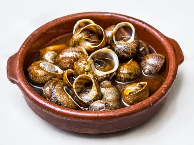 Top 10 Spanish Wines to Try in 2026 — FOOD Top 10 List