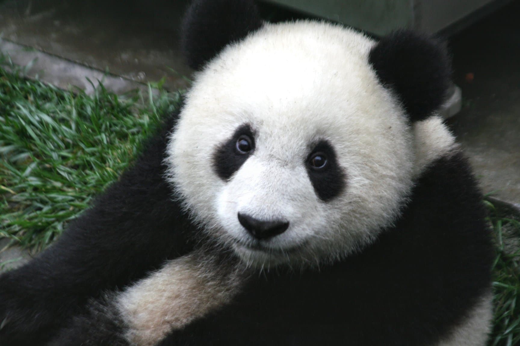 Top 10 China National Parks & Nature Reserves — NATURE Top 10 List