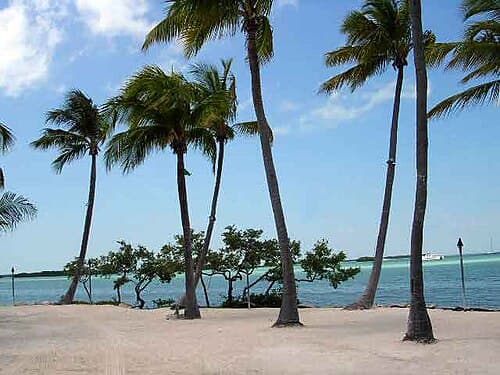 Top 10 Fishing Destinations in North America — TRAVEL Top 10 List