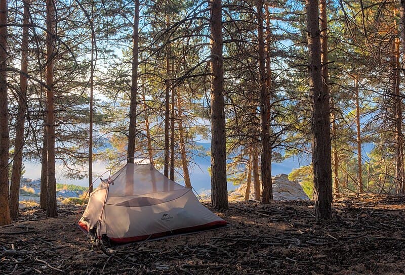 Top 10 Camping Gear Essentials That Survive Any Trip (2026 Backcountry-Tested Picks) — LIFESTYLE Top 10 List