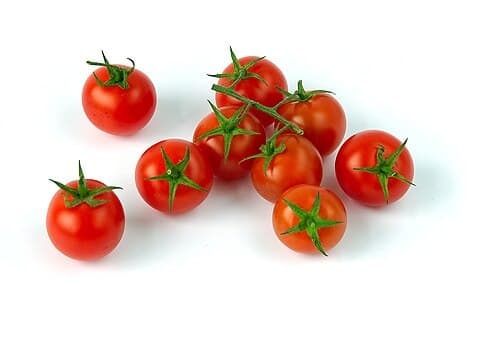 Top 10 Vegetables That Even Beginner Gardeners Can Grow — LIFESTYLE Top 10 List