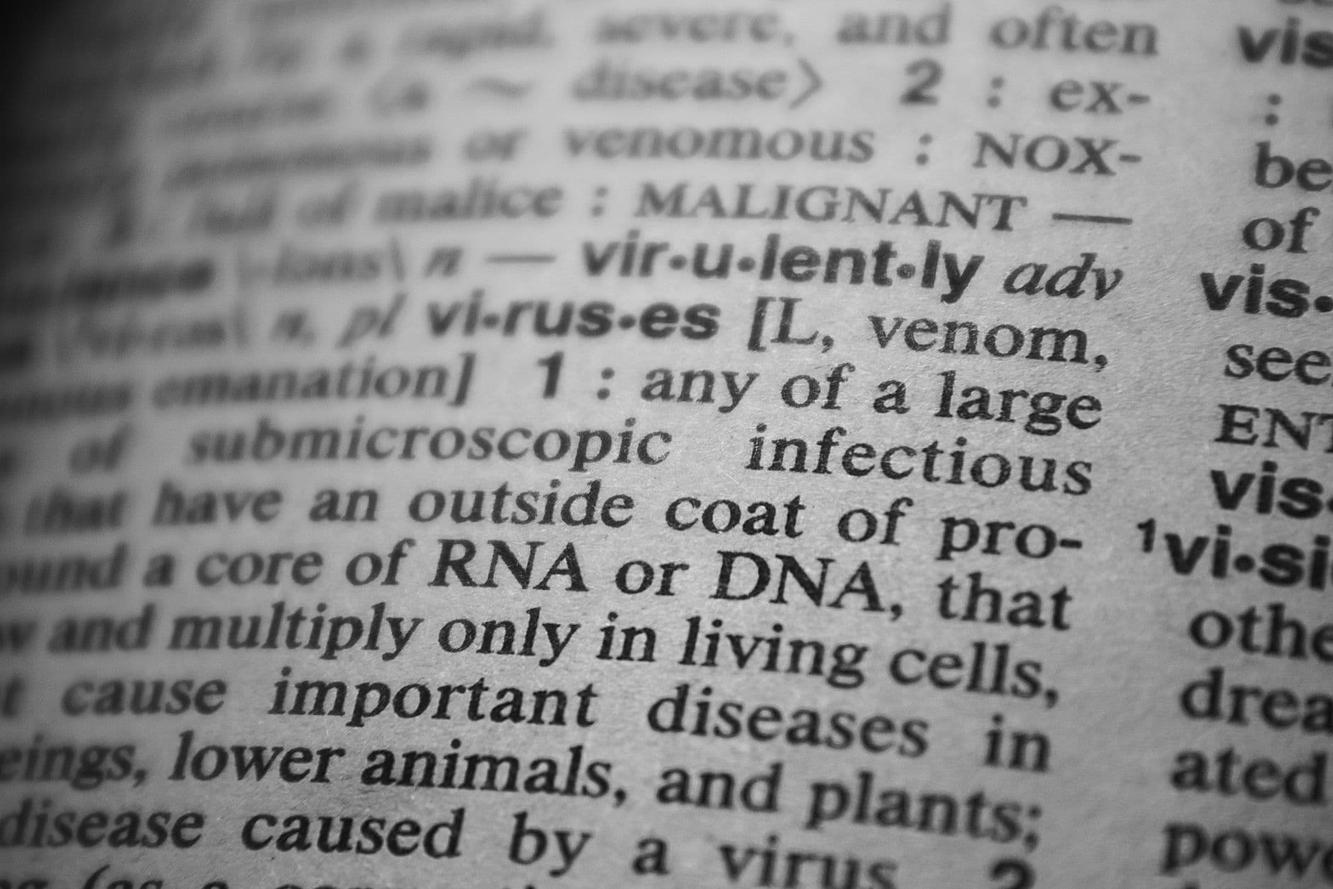 RNA World Hypothesis