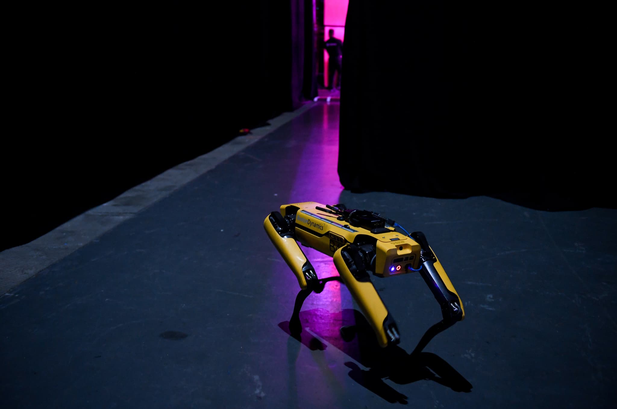 Boston Dynamics