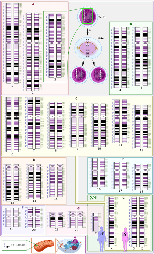 DNA Sequencing