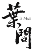 Ip Man (2008)