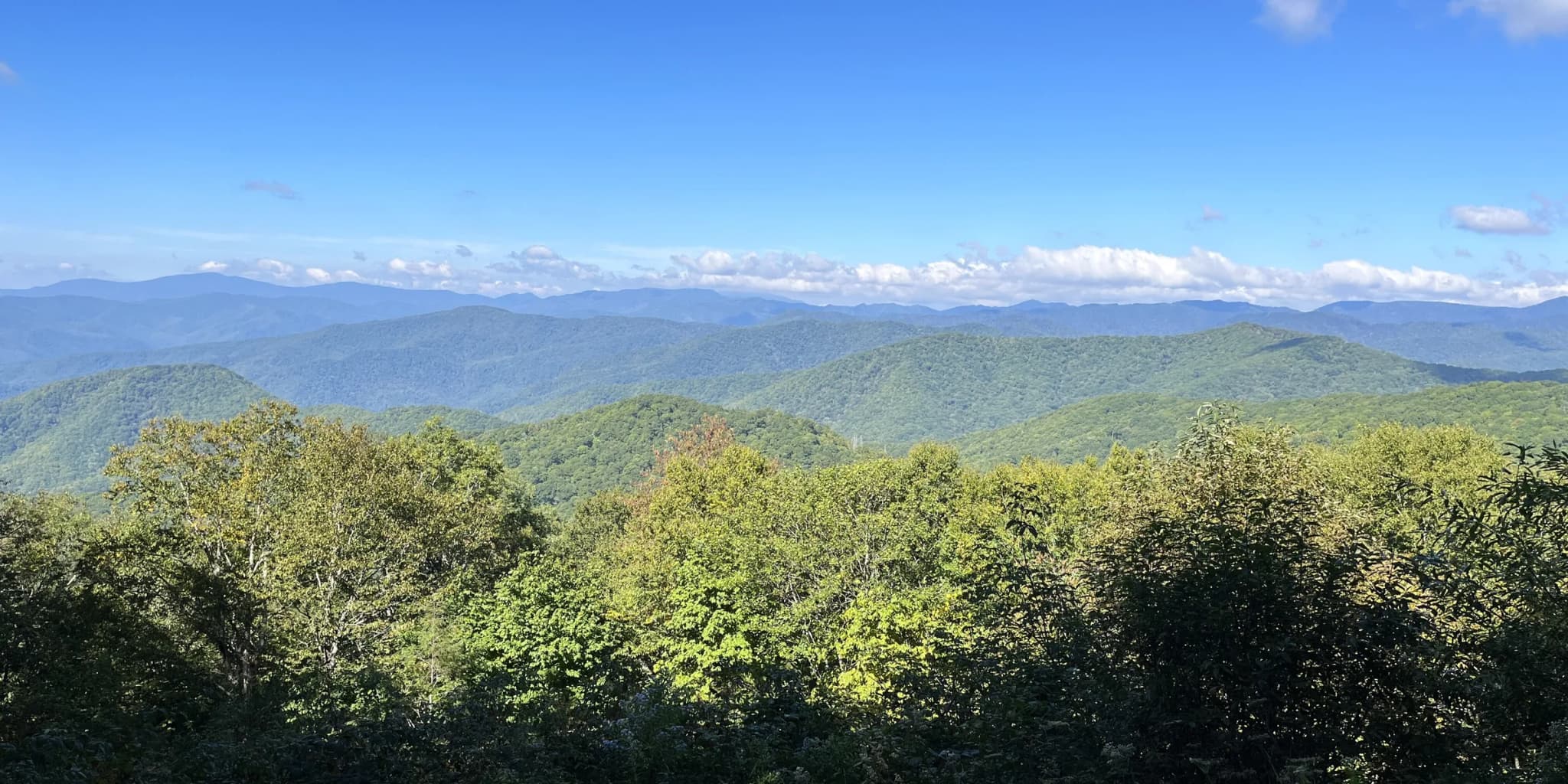 #1 Great Smoky Mountains National Park — Zion National Park or Yellowstone National Park? Top 10 Most Visited U.S. National Parks