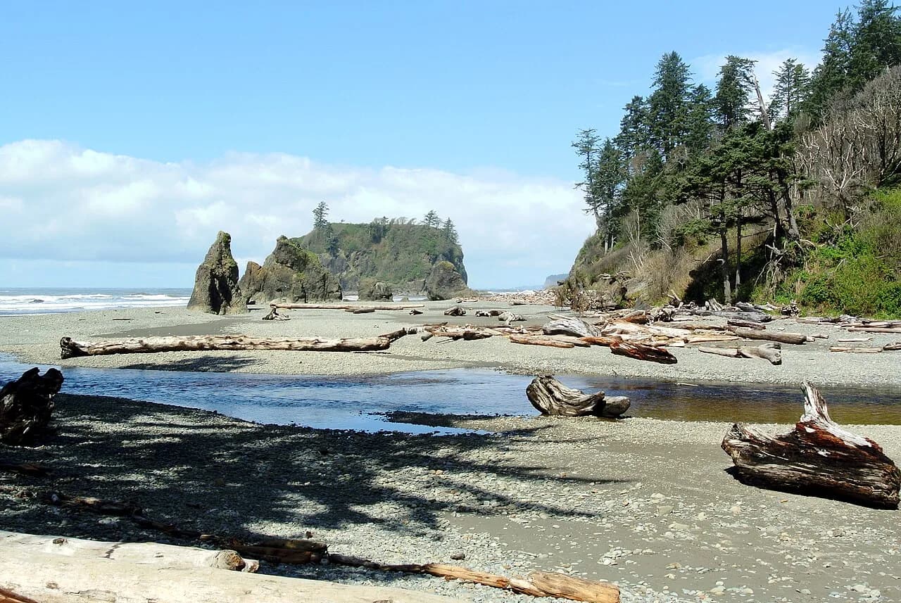 #9 Olympic National Park — Zion National Park or Yellowstone National Park? Top 10 Most Visited U.S. National Parks
