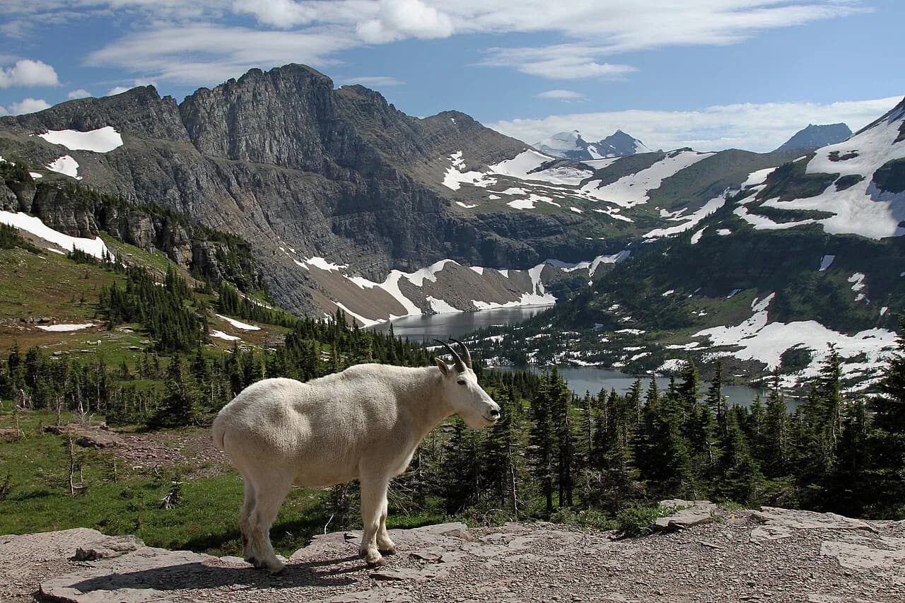 #10 Glacier National Park — Zion National Park or Yellowstone National Park? Top 10 Most Visited U.S. National Parks