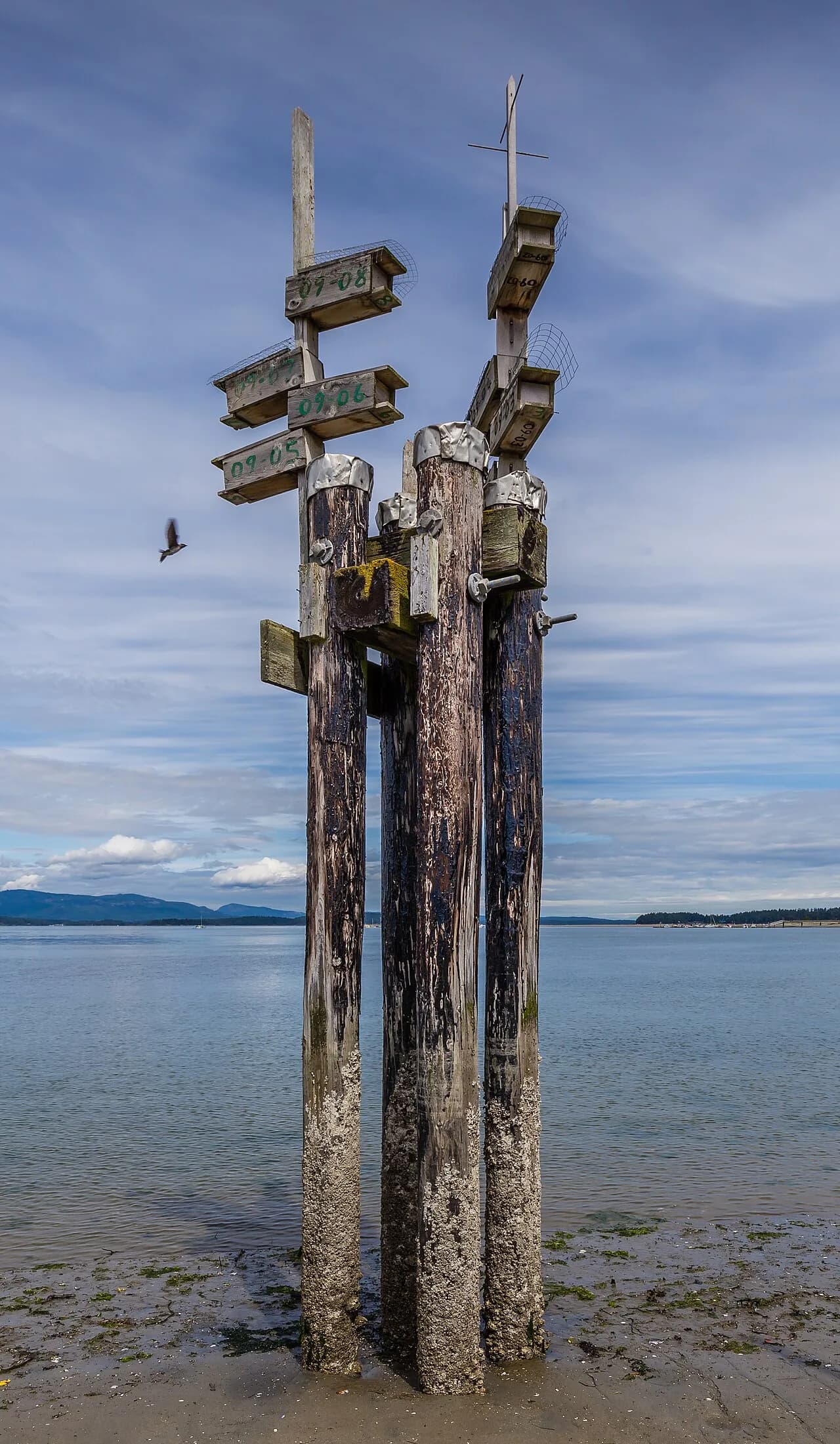 #6 Bird Box — Carry-On or Red Notice? Top 10 Most Popular Netflix Movies of All Time