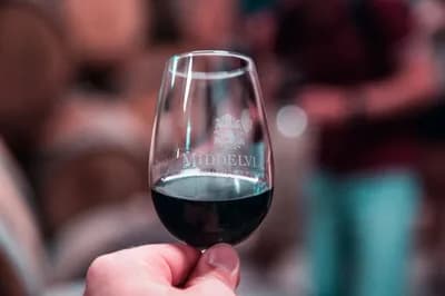 Top 10 Wine Estates in Stellenbosch (2026 Cape Winelands Ranking) — Food & Drink Top 10 List