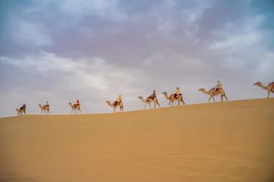 Top 10 Desert Safari Experiences in the UAE in 2026 — Travel Top 10 List