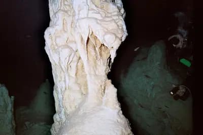 Top 10 Cenotes in Mexico 2026: Best Sacred Swimming Holes & Cave Dives — NATURE Top 10 List