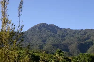 Top 10 Things to Do in Oaxaca 2026 — TRAVEL Top 10 List