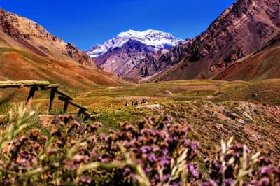 Top 10 Things to Do in Mendoza in 2026 — TRAVEL Top 10 List