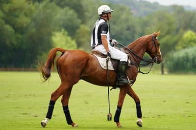 Top 10 Things to Know About Argentine Polo