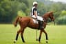 Top 10 Things to Know About Argentine Polo