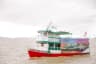 Top 10 Amazon Rainforest Adventures in Brazil