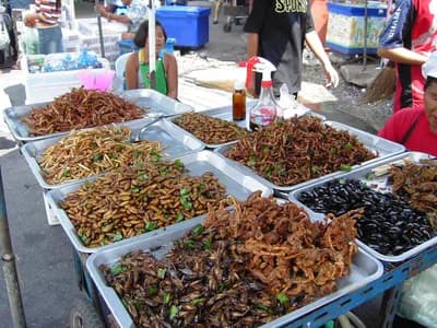 Top 10 Thai Street Foods — FOOD Top 10 List