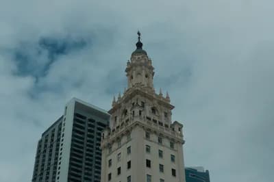 Top 10 Things to Do in Miami