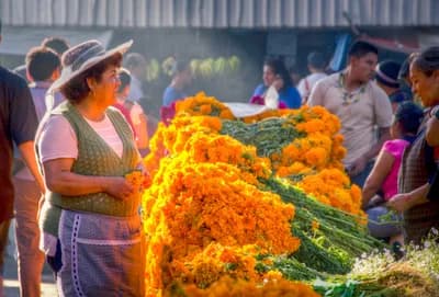 Mercado de Jamaica