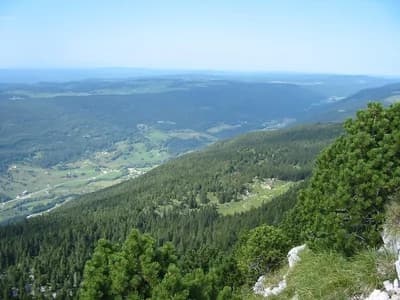 Jura