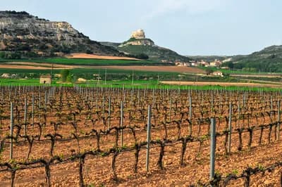 Ribera del Duero