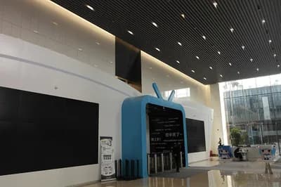 Bilibili (哔哩哔哩)