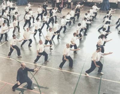 Tai Chi