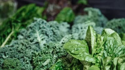 Leafy Greens (Spinach, Kale)